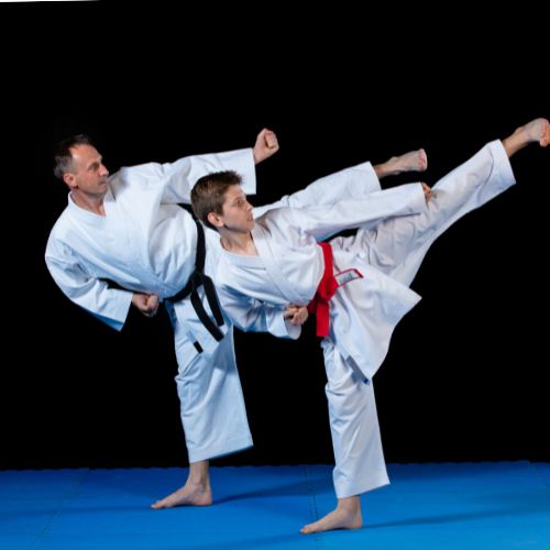karate 3